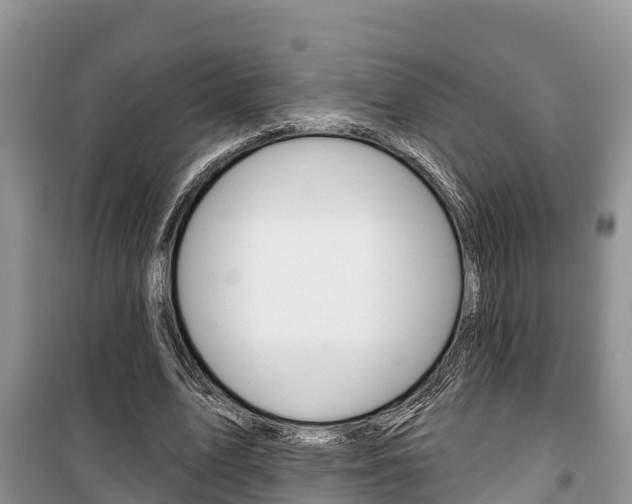 X0000100470583200806130756