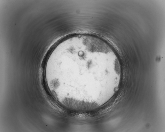 X0000100470584200806130756