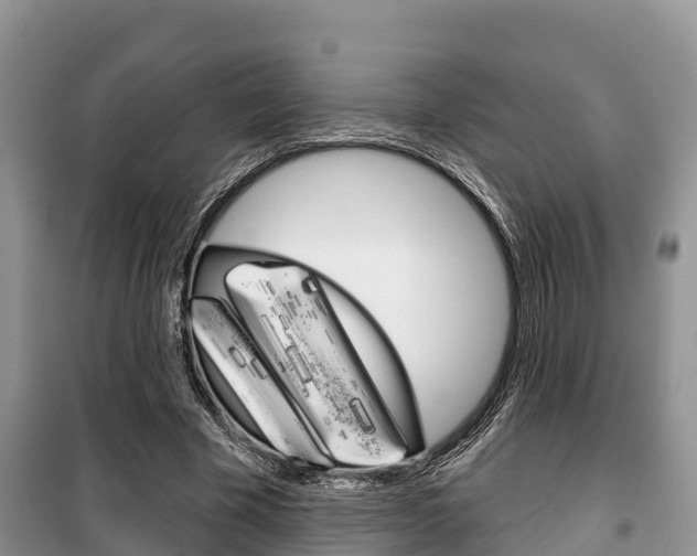 X0000100470585200806130756