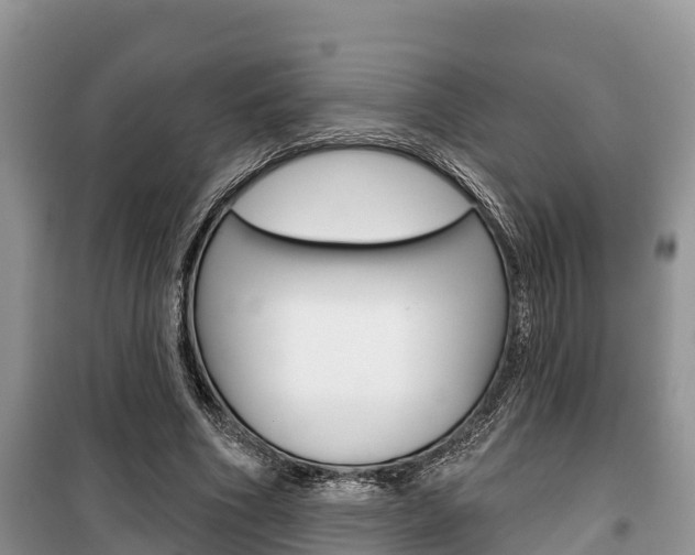 X0000100470586200806130756
