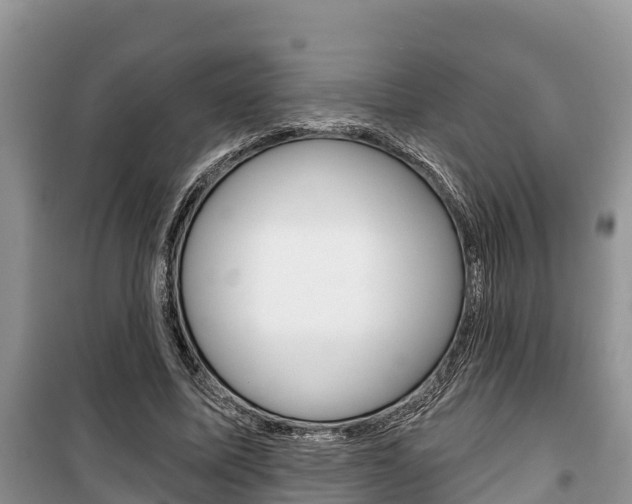 X0000100470587200806130756