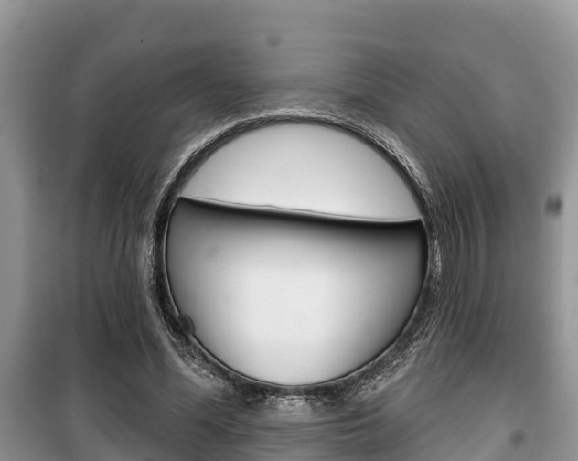 X0000100470588200806130756