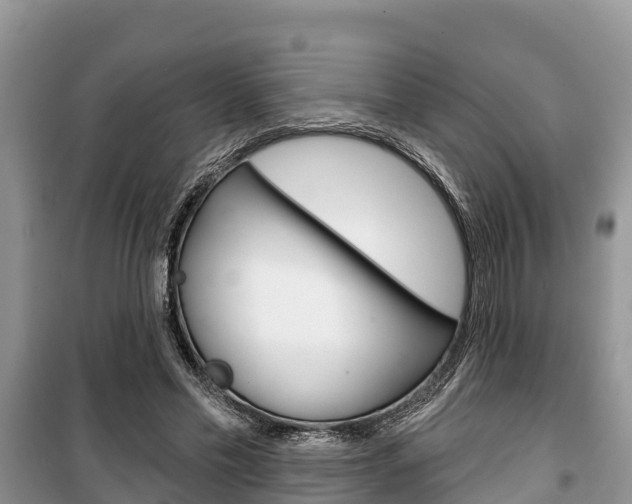X0000100470589200806130756