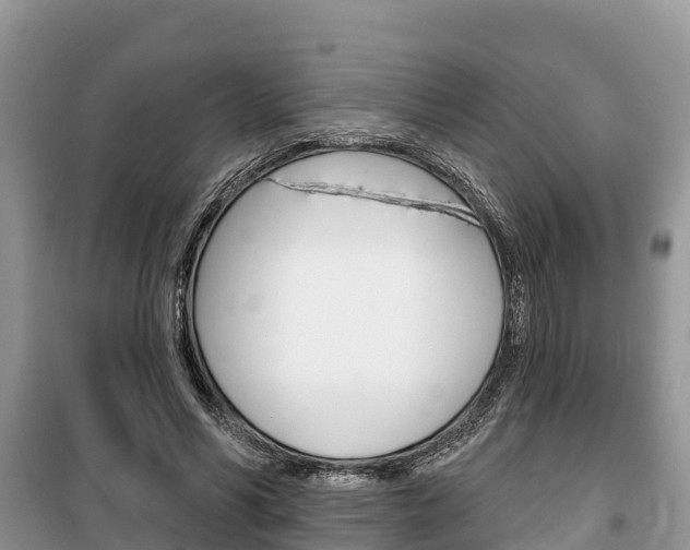 X0000100470590200806130756