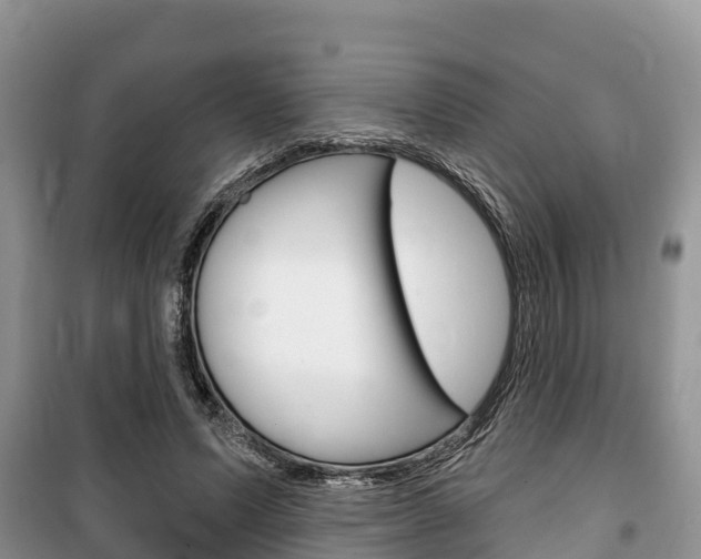 X0000100470591200806130756