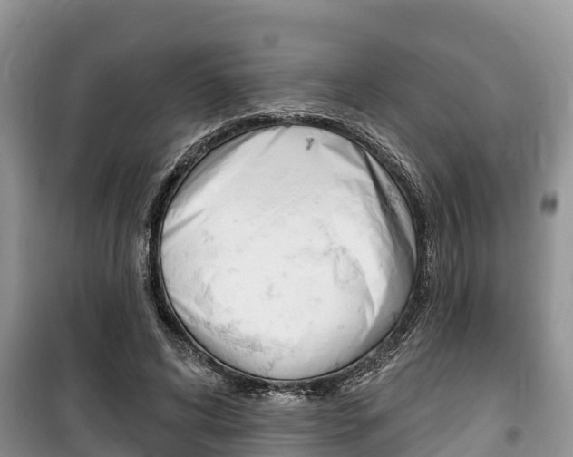 X0000100470592200806130756
