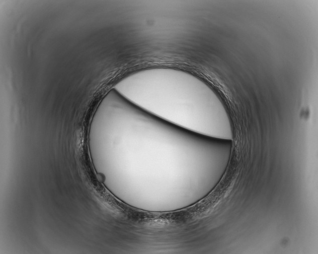 X0000100470593200806130756