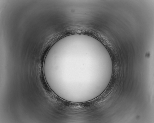 X0000100470594200806130756