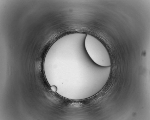 X0000100470595200806130756