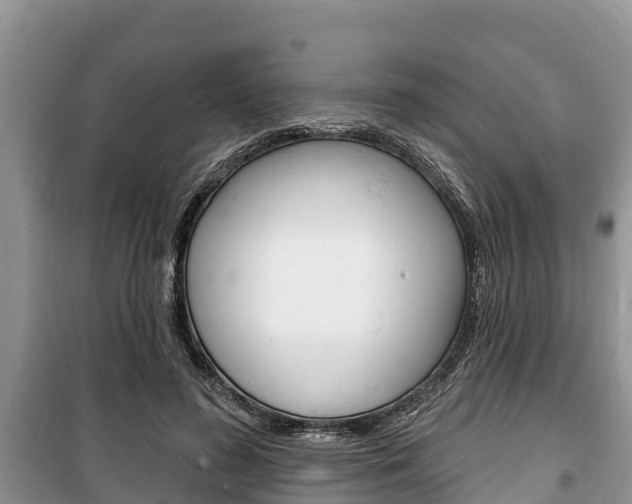 X0000100470596200806130756