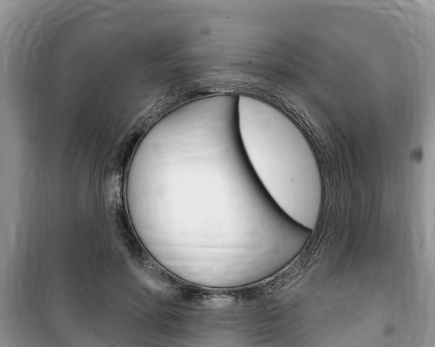 X0000100470598200806130756