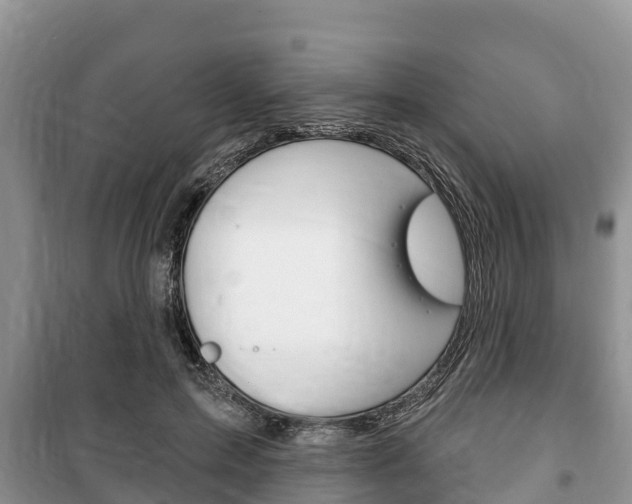 X0000100470599200806130756
