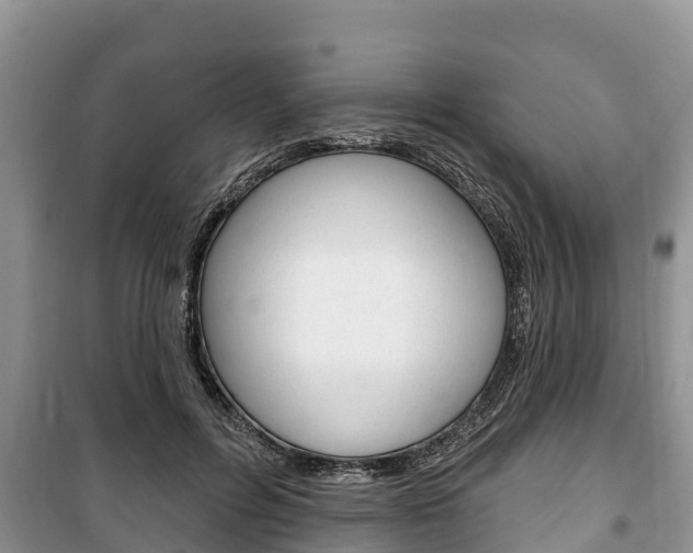 X0000100470600200806130756