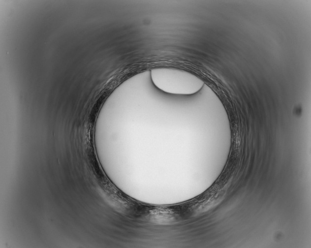 X0000100470603200806130756