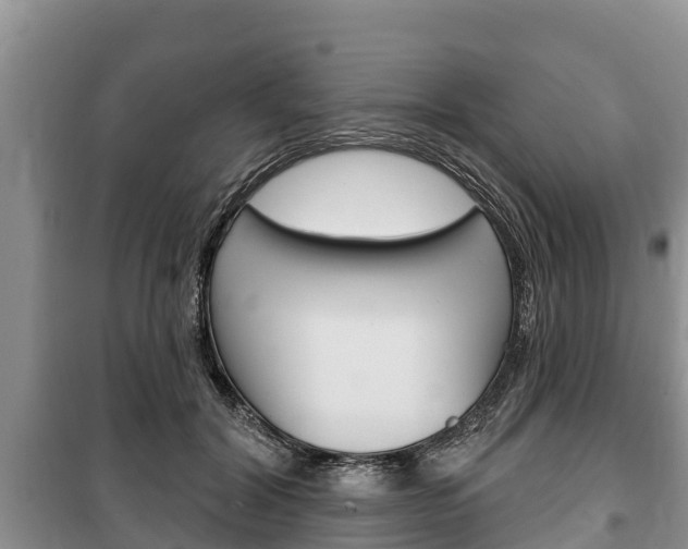 X0000100470604200806130756