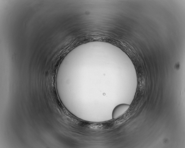 X0000100470606200806130756
