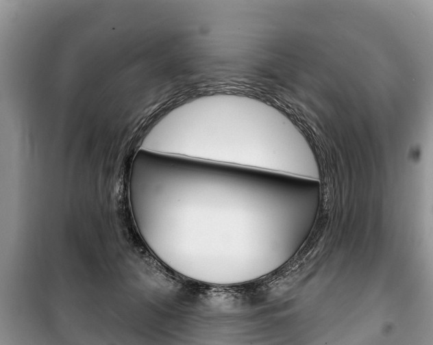 X0000100470608200806130756