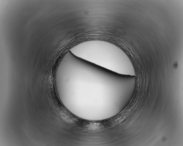 X0000100470609200806130756