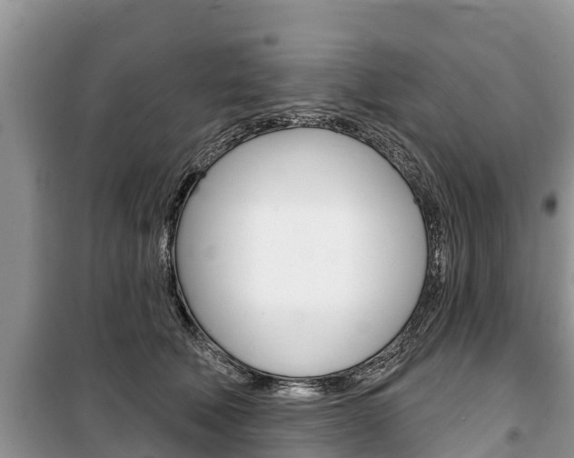X0000100470610200806130756