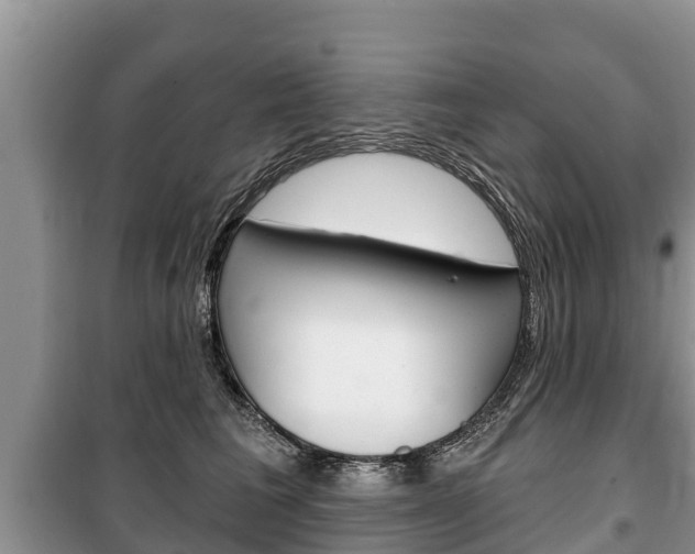 X0000100470613200806130756