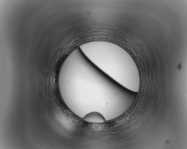 X0000100470615200806130756