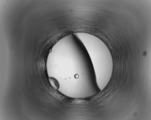 X0000100470617200806130756
