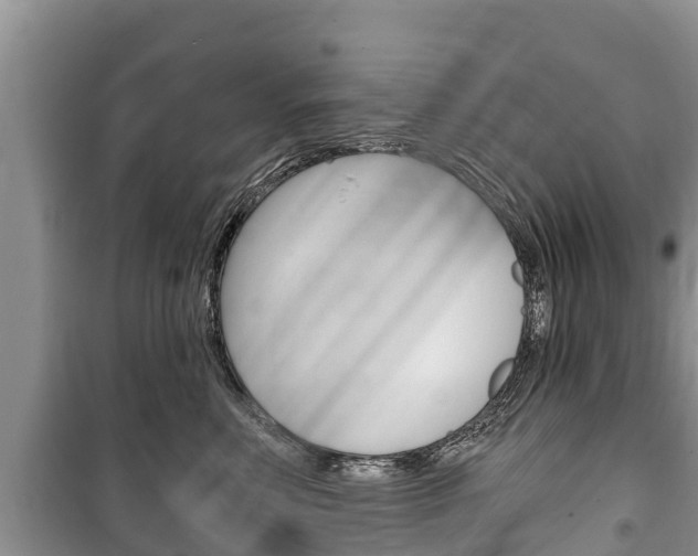 X0000100470618200806130756
