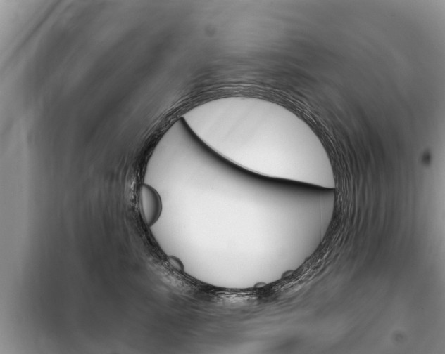 X0000100470619200806130756