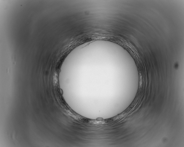X0000100470621200806130756