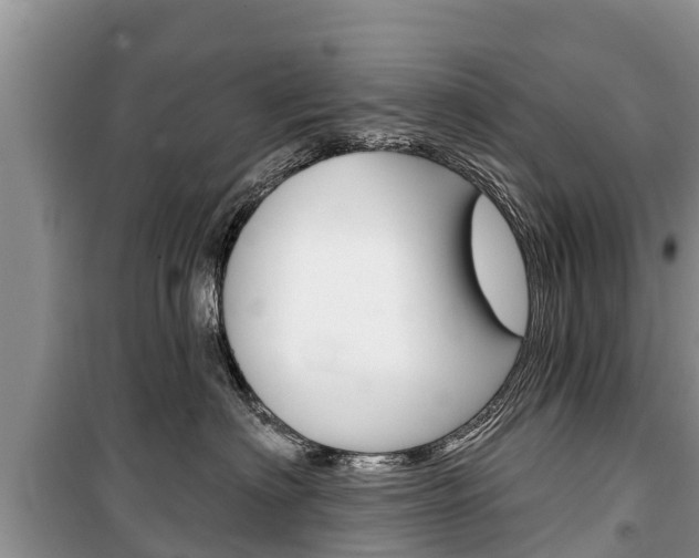 X0000100470622200806130756