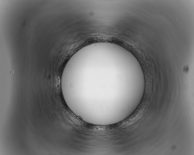 X0000100470624200806130756