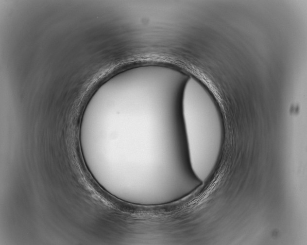 X0000100470625200806130755