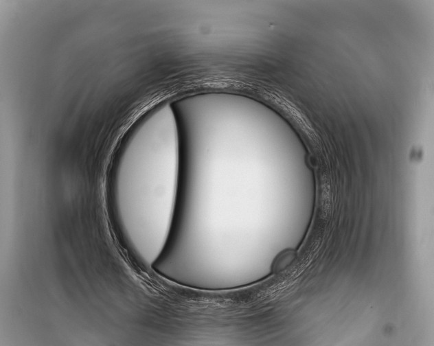 X0000100470626200806130755