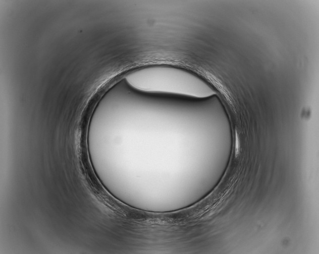 X0000100470627200806130755