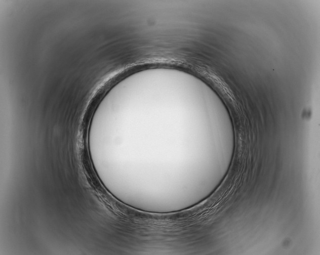 X0000100470628200806130755