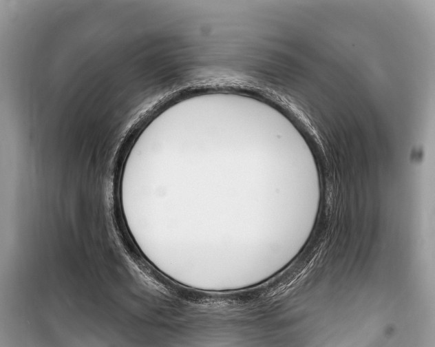 X0000100470629200806130755
