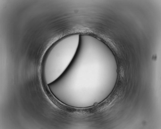 X0000100470630200806130755