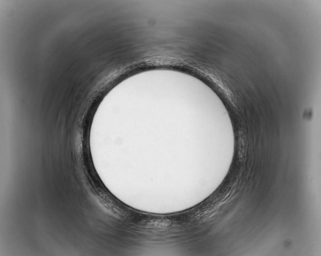 X0000100470631200806130755