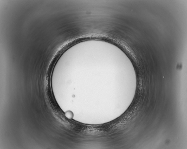 X0000100470632200806130755