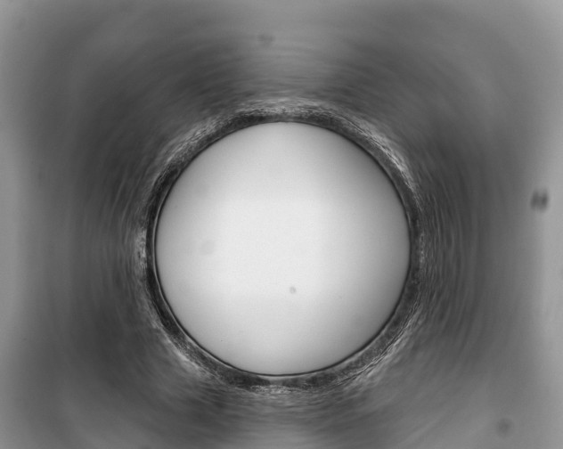 X0000100470633200806130755