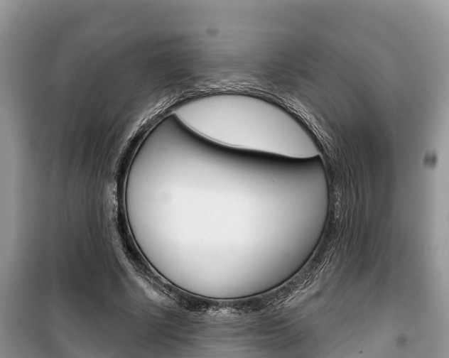 X0000100470634200806130755