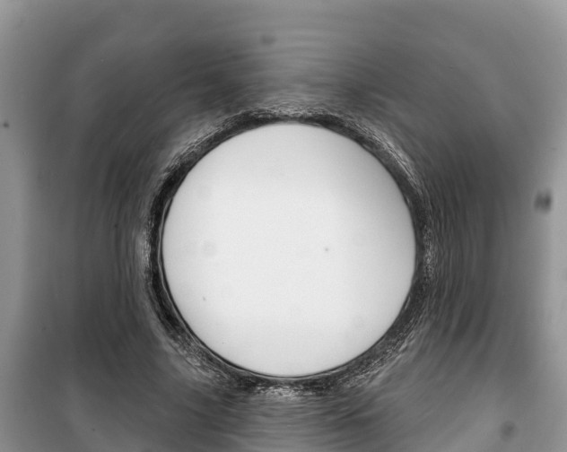 X0000100470635200806130755