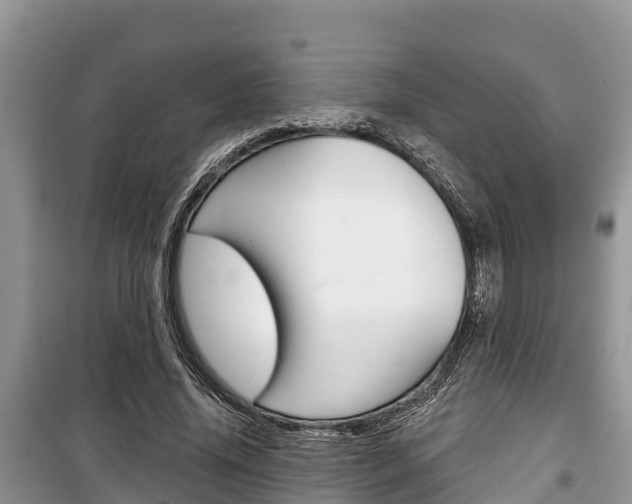 X0000100470636200806130755