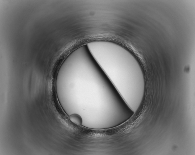X0000100470637200806130755