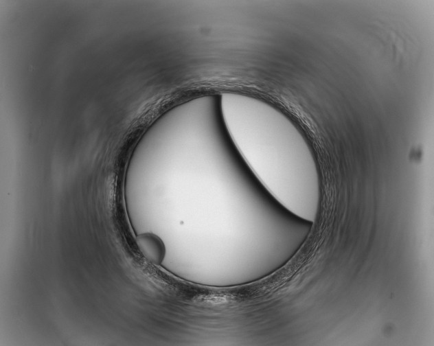 X0000100470639200806130755