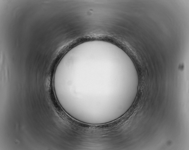 X0000100470640200806130755