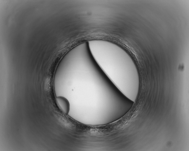 X0000100470641200806130755