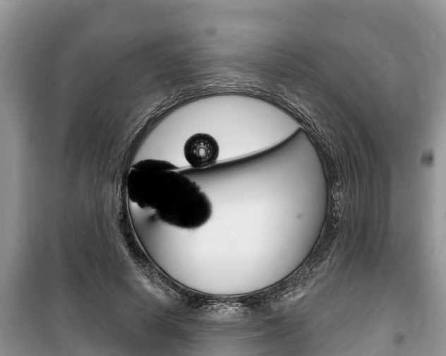 X0000100470642200806130755