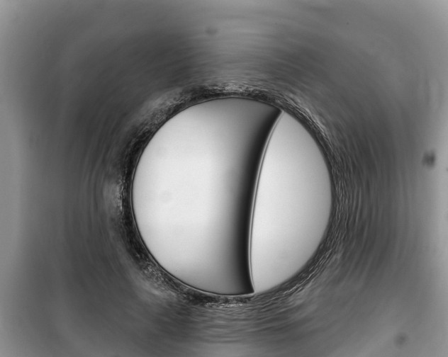 X0000100470643200806130755