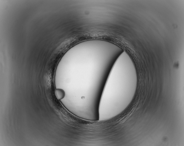 X0000100470644200806130755